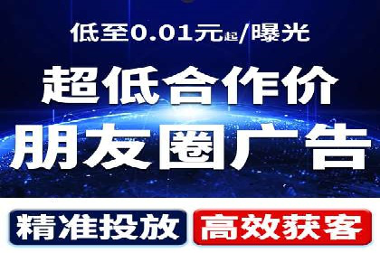XX领域竞价广告的投放策略及效果展示